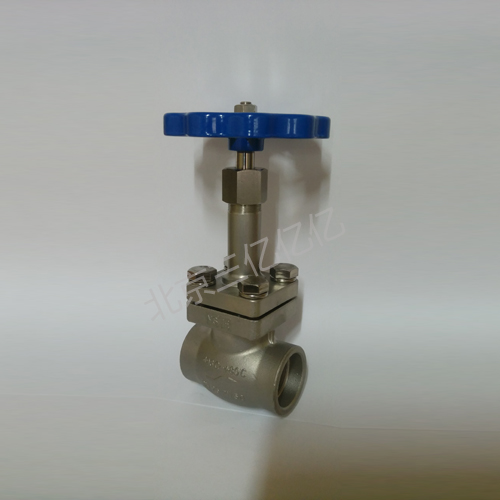 SS Cryogenic Short-stem Globe Valve