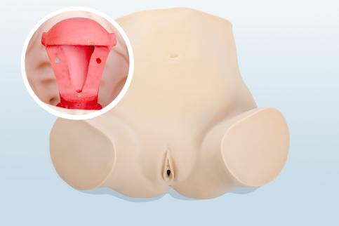 婦科上環(huán)、取環(huán)訓(xùn)練模型